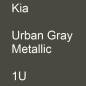 Preview: Kia, Urban Gray Metallic, 1U.